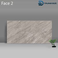 Gạch Porcelain Catalan 3208 vân đá ghi đậm men bóng, 6 biến thể, 30x60 (cm) 7 %tên tệp%