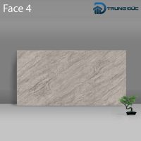 Gạch Porcelain Catalan 3208 vân đá ghi đậm men bóng, 6 biến thể, 30x60 (cm) 9 %tên tệp%