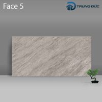 Gạch Porcelain Catalan 3208 vân đá ghi đậm men bóng, 6 biến thể, 30x60 (cm) 10 %tên tệp%