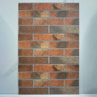 Gạch ốp tường trang trí 25x50cm Hồng Hà 2506