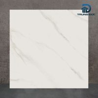 Gạch 60x60 chống trượt Viglacera VG6001 màu trắng vân mây