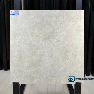 Gạch 80x80 màu xi măng VIG-GM883001
