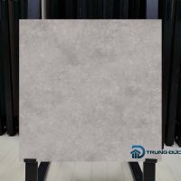 Gạch 80x80 màu xi măng VIG-GM883002