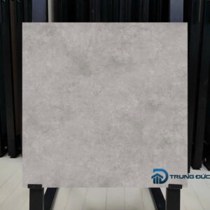 Gạch 80x80 màu xi măng VIG-GM883002