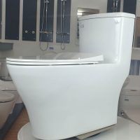 Bồn cầu 1 khối Viglacera V36 xả nhấn nắp êm, tặng xịt VG826 4 Hình ảnh chụp thực tế bồn cầu Viglacera V36