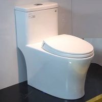 Bồn cầu 1 khối Viglacera V63 xả nhấn nắp êm, tặng xịt VG826 4 Hình ảnh chụp thực tế bồn cầu liền khối Viglacera V63