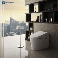 Lô giấy vệ sinh cao cấp TOTO NEOREST YH63SDT1
