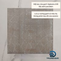 Hình ảnh mặt sau của gạch 60x60 Semi porcelain Viglacera