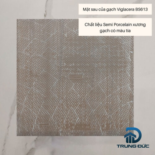 Mặt sau của gạch 60x60 semi porcelain Viglacera