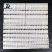 Mặt sau gạch mosaic thanh que 22x145 mm