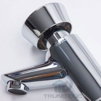 Vòi Nước Tự Ngắt TOTO DL102 7 %tên tệp%