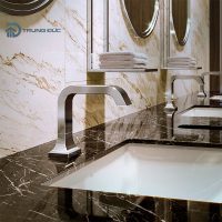 Vòi rửa tay cảm ứng TOTO TLE21006A